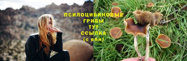 2c-b Армянск
