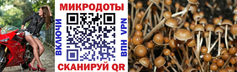 хочу наркоту  mega вход  Галлюциногенные грибы прущие грибы  Чапаевск 